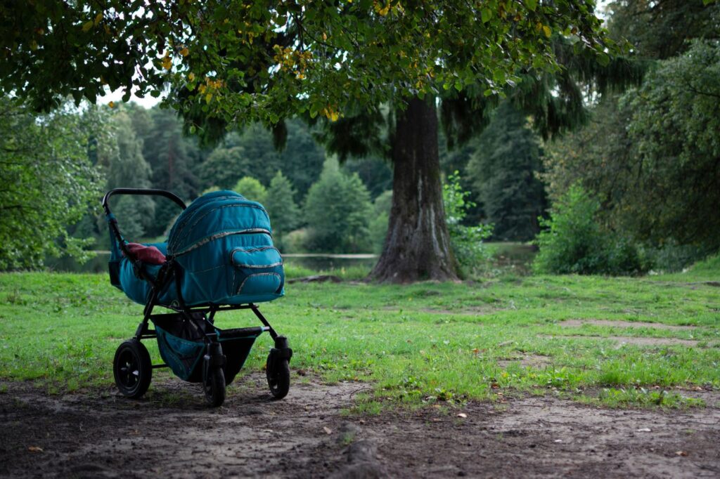 Købsguide: barnevogn i park
